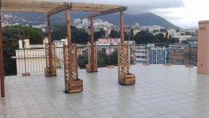 IMAG0051