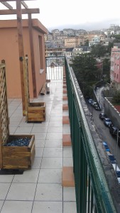 IMAG0052