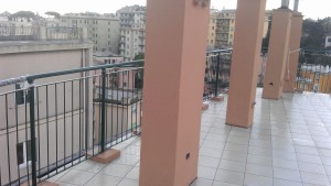 IMAG0053